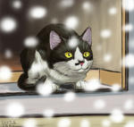 070201moni