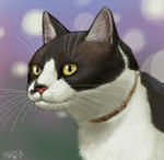 070221moni