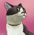 070222moni