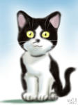 070305moni