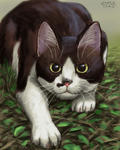 070403moni