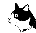 070416akubi