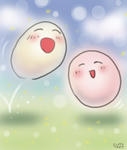 070428dango
