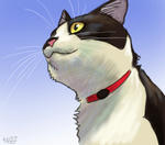 070704moni