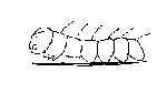 070716kemusi