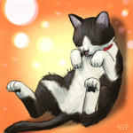 070908moni