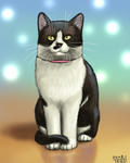 080103moni
