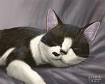 080403moni
