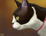 080410moni
