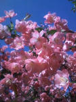 090506_1621kaidou