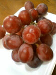 090518_1408budo