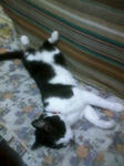 090727_2038moni