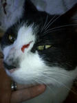 091202_1357moni