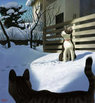 110207yuki_72.jpg
