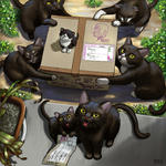 120301nekotakkyu_72.jpg