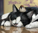 120601monisuzume_72.jpg