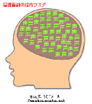 naozumifeti.gif
