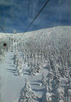 20060219zao.jpg