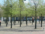 090404-5.jpg