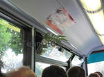 090619F1-8.jpg
