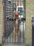 canterbury07.jpg