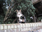 canterbury08.jpg