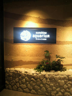 P1021365_2.jpg