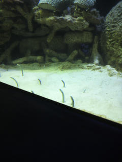 P1021366_2.jpg