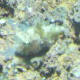 P1021370_2.jpg