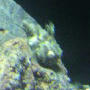P1021370_3.jpg