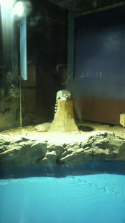 P1021419.JPG