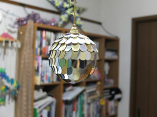 DSCF0009_s.jpg