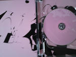 DSC00262.jpg