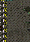 a8519724gif