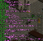 85050223gif