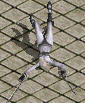 de30d8d7gif