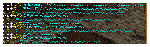 d327c36a.gif