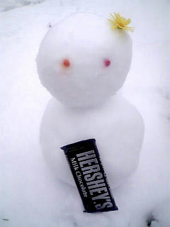 チョコをどうぞ