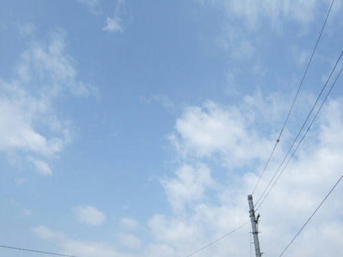 いつかの青空