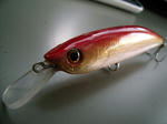 DSCF8871.JPG