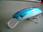 DSCF8872.JPG