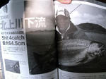 DSCF8807.JPG