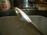 b7ae906f.JPG