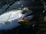DSCF8003.JPG
