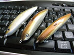 DSCF0006.JPG