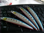 DSCF8956.JPG