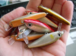 DSCF0901.JPG