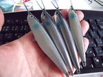 DSCF0902.JPG
