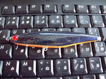 DSCF0904.JPG