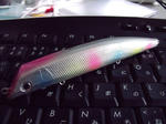 DSCF0907.JPG